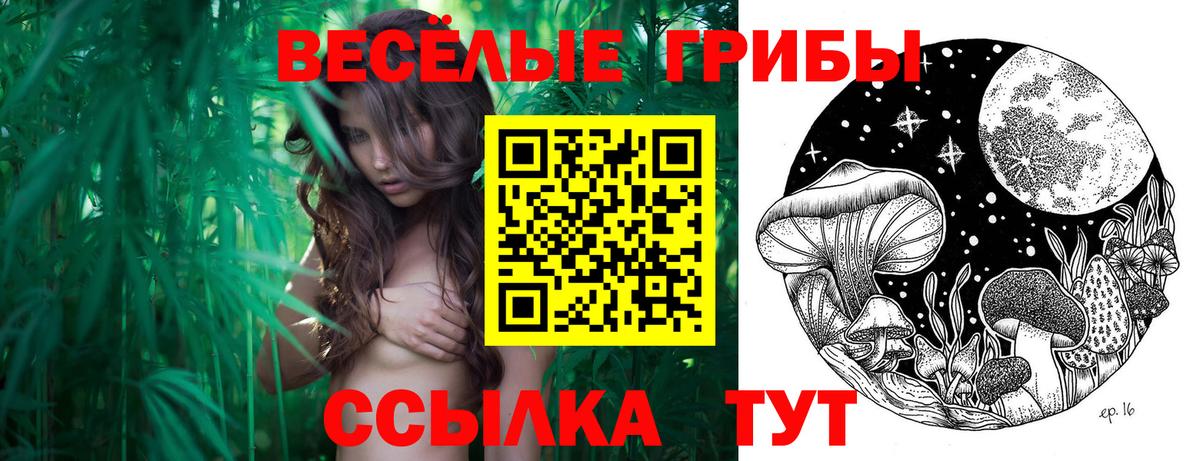 Стерлитамак  Псилоцибиновые грибы мухоморы  Вход с VPN 